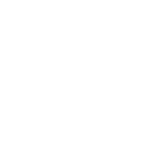Asset-24x